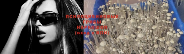 мяу мяу мука Краснослободск