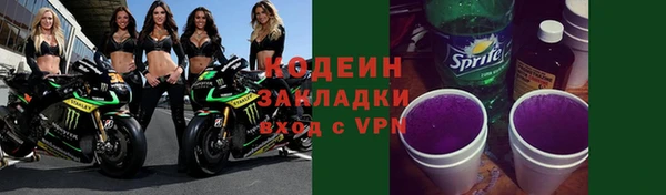 прущие грибы Костерёво