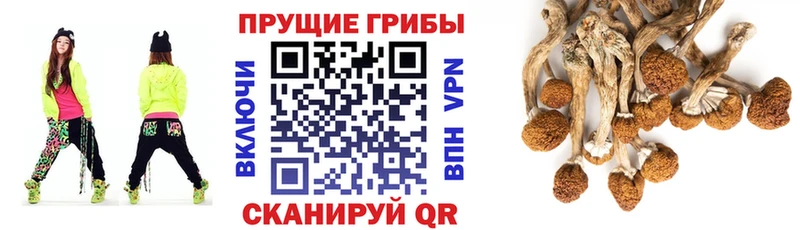 Псилоцибиновые грибы Magic Shrooms  Электросталь 