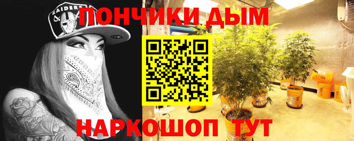 Канабис семена  Вход с VPN  Конопля семена  Электросталь  Шишки марихуана семена 
